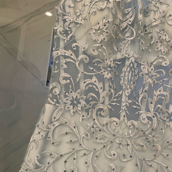 PAGEANT/PROM DRESS - Picture 3 of 4